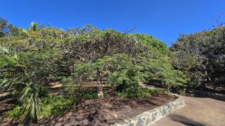 GC-Parque Botanico de Maspalomas 2025-065.jpg